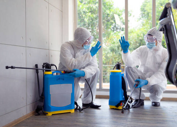 الشركة الالمانية لابادة البراغيث