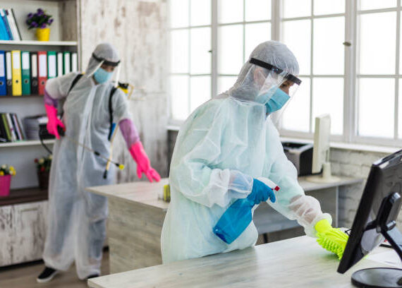 الشركة الالمانية لابادة سوس الخشب