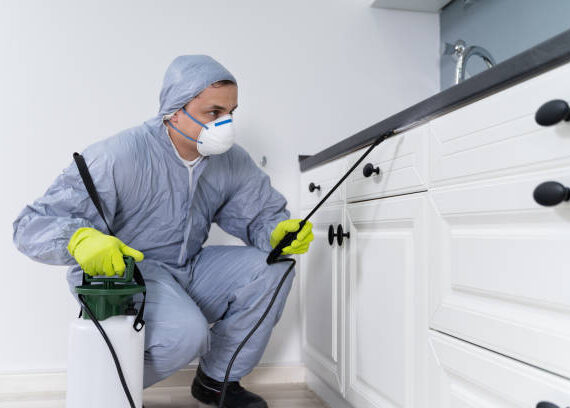 شركة ابادة حشرات فى مدينتى