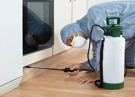 شركة ابادة حشرات في مدينة بدر